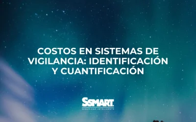 Costos en Sistemas de Vigilancia: Identificaci&oacute;n y Cuantificaci&oacute;n